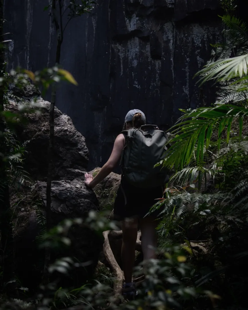 Photo from Minyon Falls, Nightcap National Park by Matteo Stanca Taza