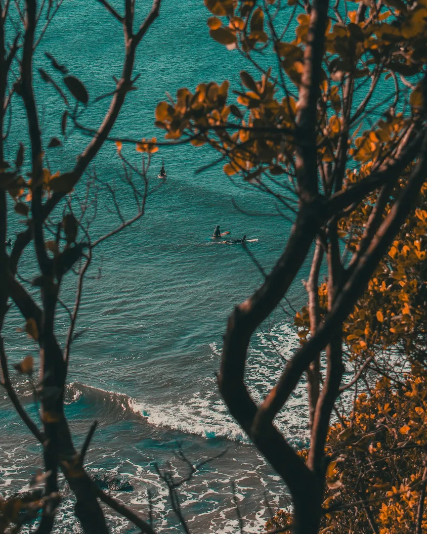Photo from Byron Bay by Matteo Stanca Taza