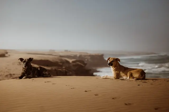 Photo from Taghazout, Morocco by Matteo Stanca Taza