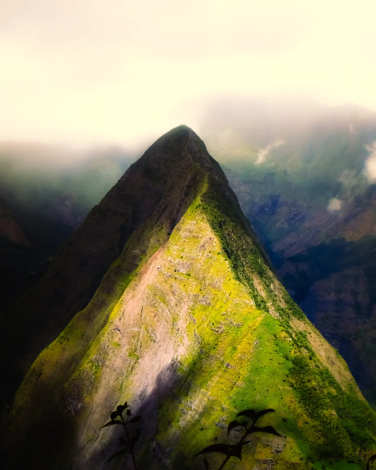 Steep green peak catching the sun above a shadowed valley on Reunion Island
