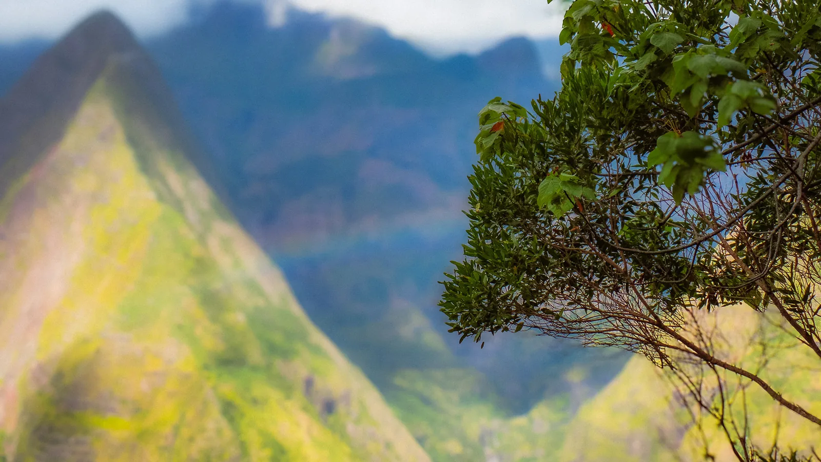 Faint rainbow arcing over misty peaks framed by rainforest leaves on Reunion Island