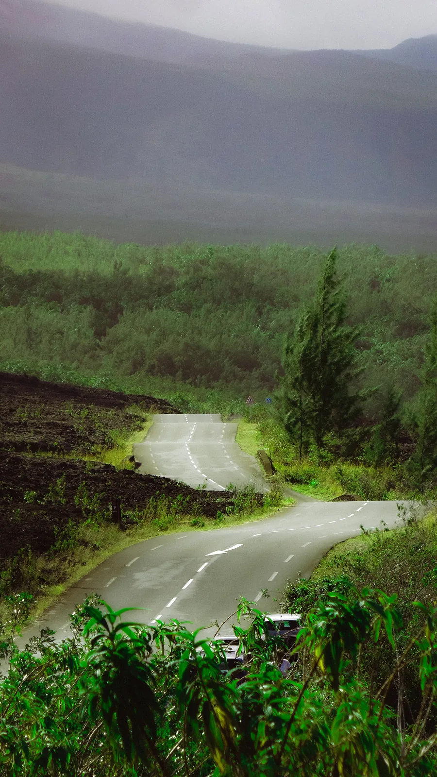 Winding road cutting through dark volcanic scrubland under mist on Reunion Island