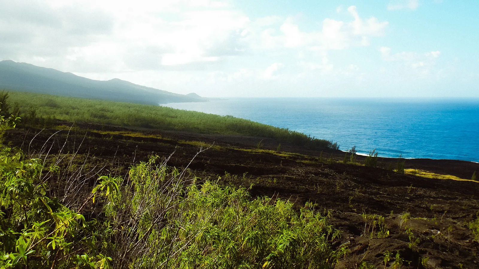 Black lava field meeting the blue ocean along a regrown coastline on Reunion Island