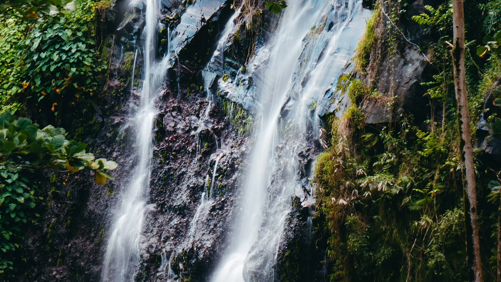 Waterfall spilling over moss-covered volcanic rock framed by ferns on Reunion Island