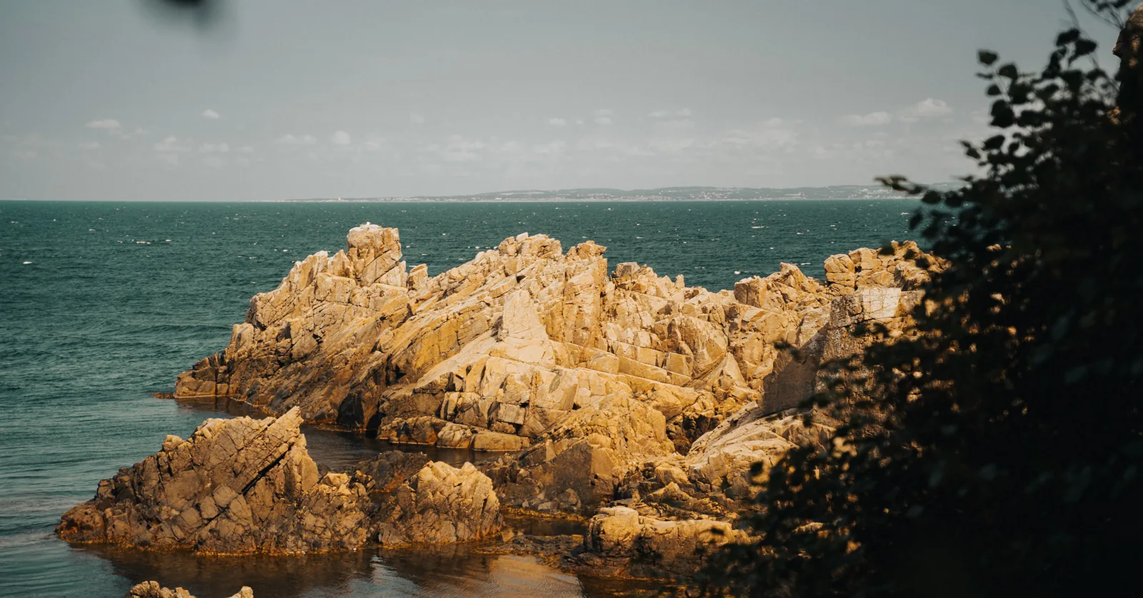 Golden-lit rocky islet framed by branches with the sea beyond in Sweden