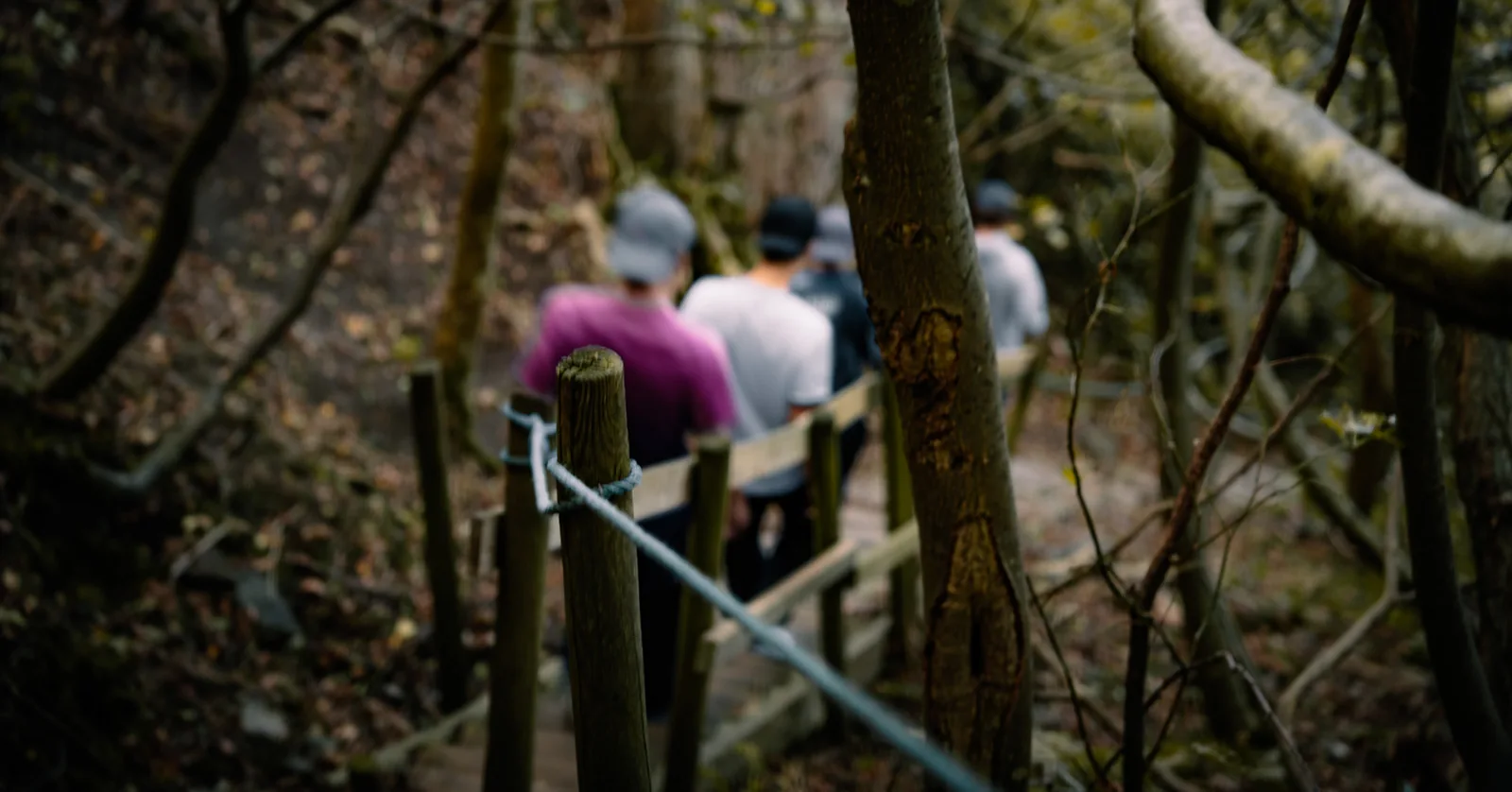 Friends descending a wooden staircase trail through the forest in Sweden