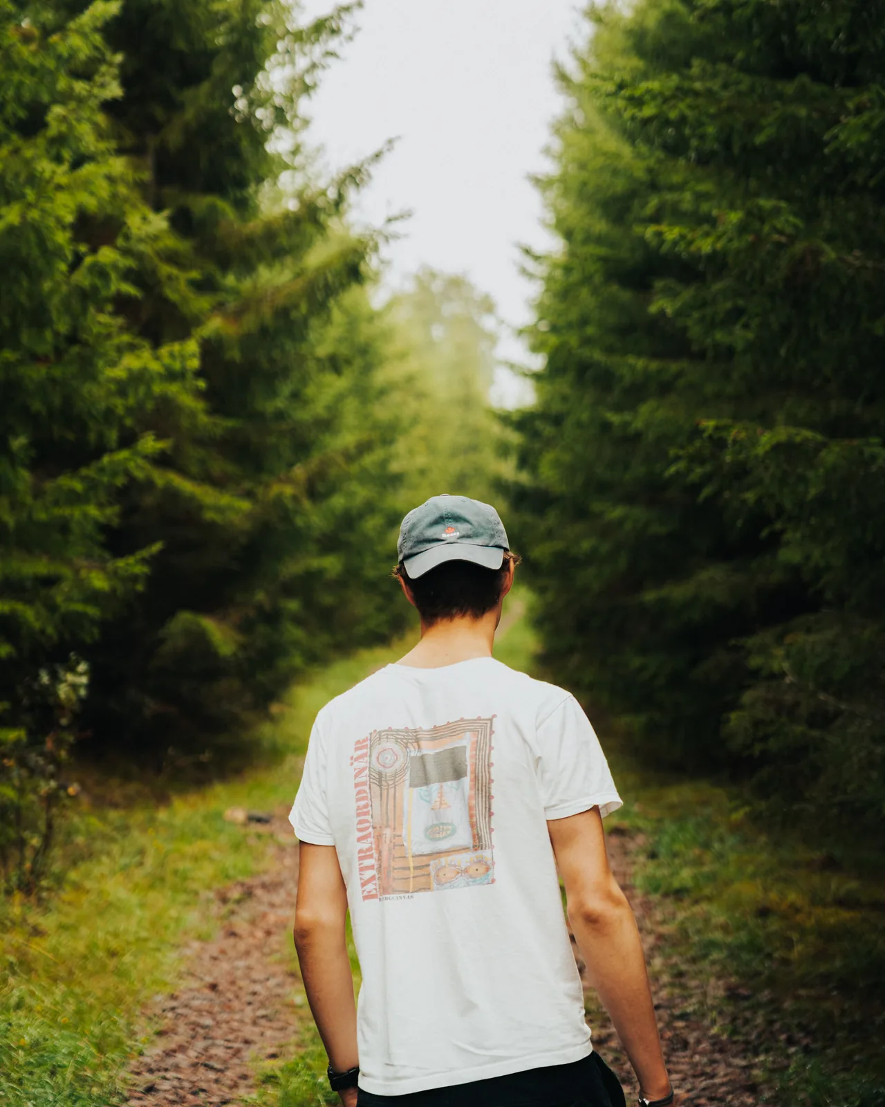Man walking away down a straight path flanked by towering pines in Sweden