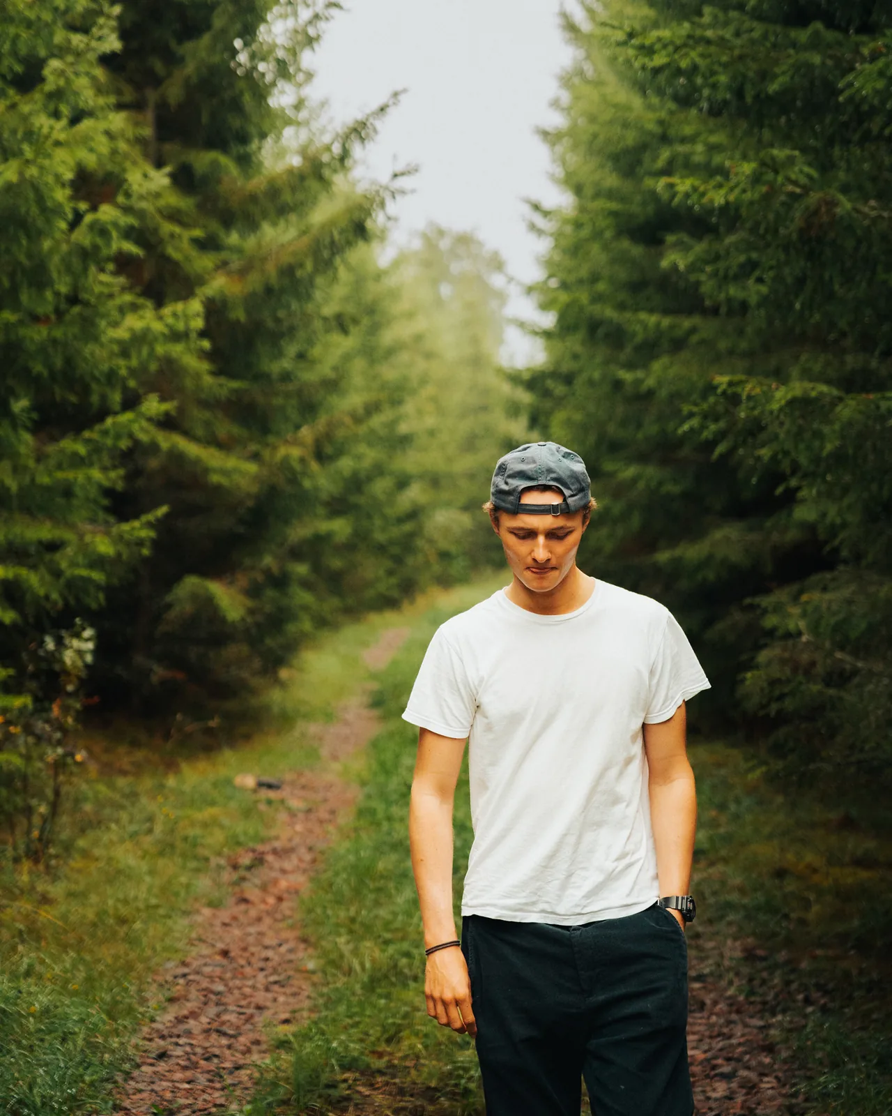 Man standing quietly on a forest path beneath a canopy of pines in Sweden