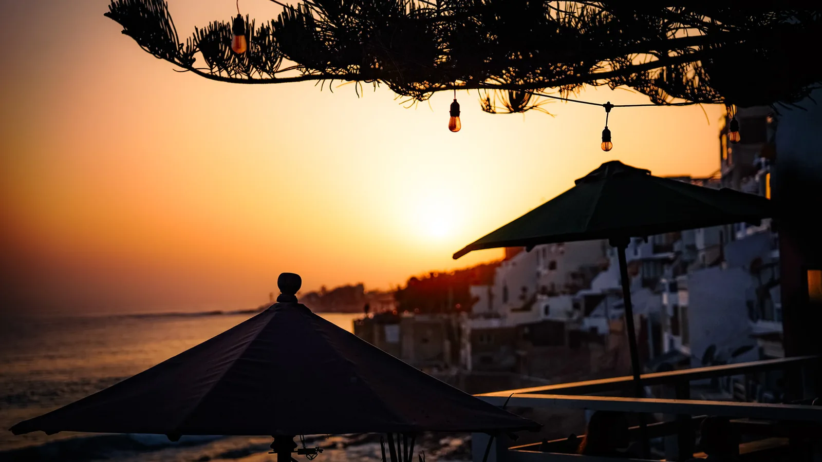 String lights and beach umbrellas silhouetted beneath a pine branch at sunset in Taghazout
